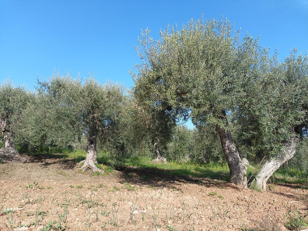 Agriturismo Le Campanelle - Sicilia - Cefalu Villa Lascari Eksteriør bilde