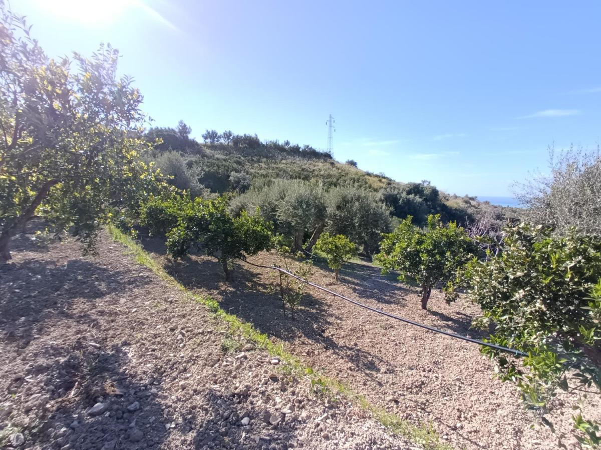 Agriturismo Le Campanelle - Sicilia - Cefalu Villa Lascari Eksteriør bilde