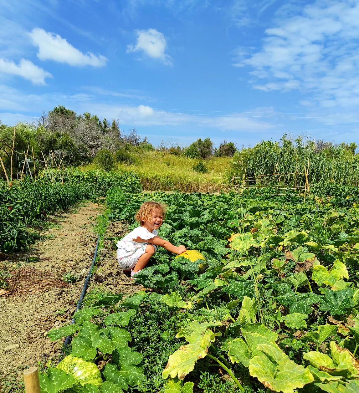 Agriturismo Le Campanelle - Sicilia - Cefalu Villa Lascari Eksteriør bilde