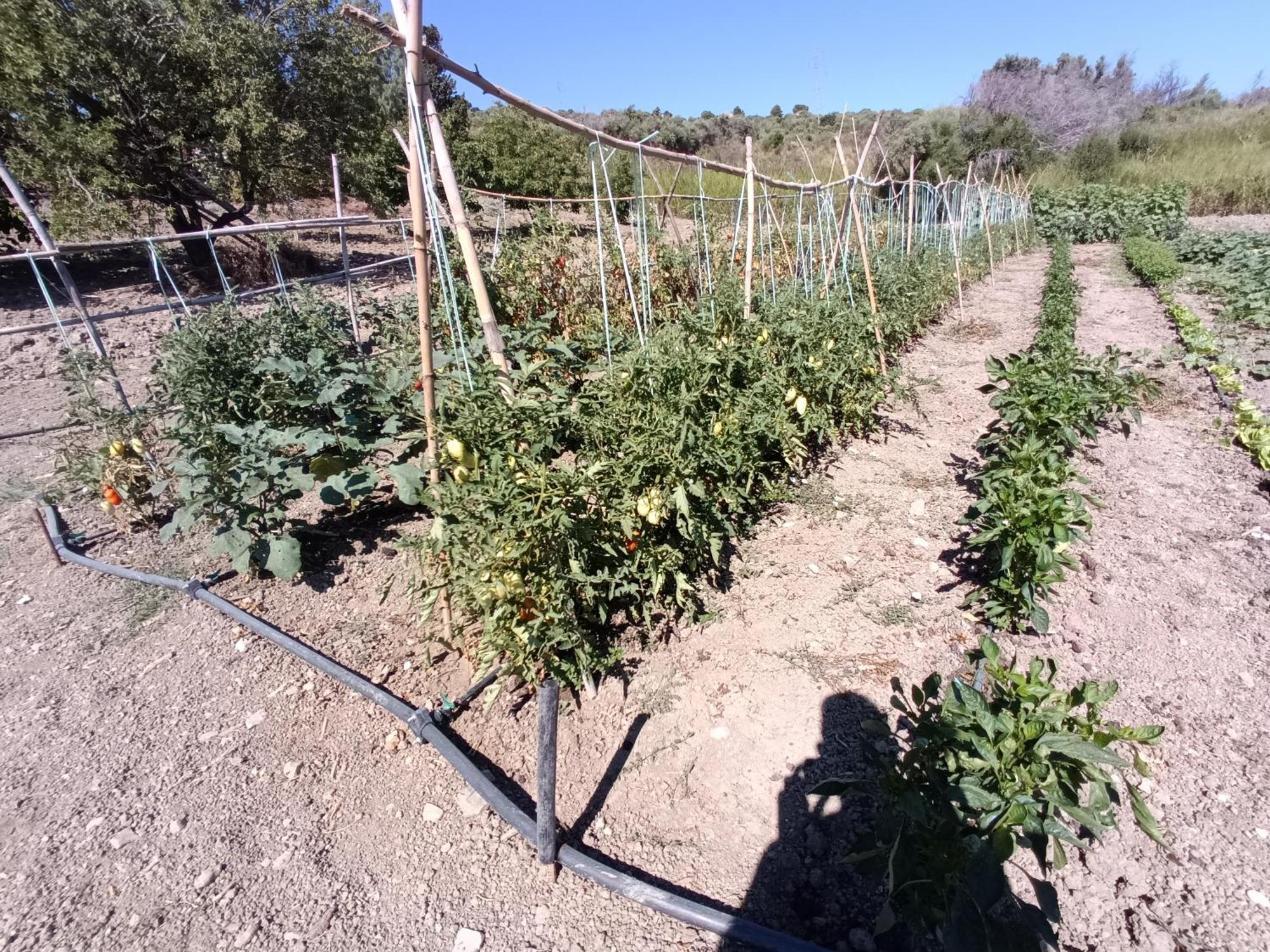 Agriturismo Le Campanelle - Sicilia - Cefalu Villa Lascari Eksteriør bilde