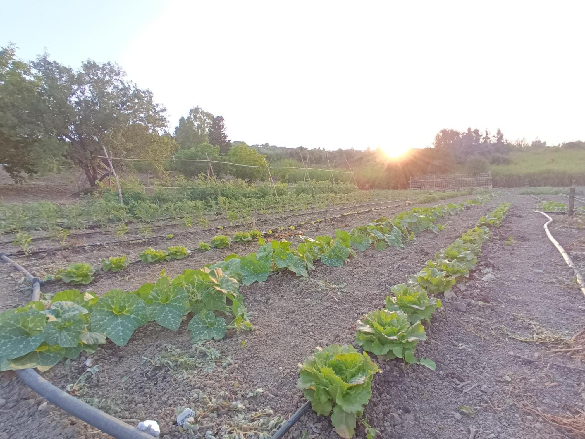 Agriturismo Le Campanelle - Sicilia - Cefalu Villa Lascari Eksteriør bilde