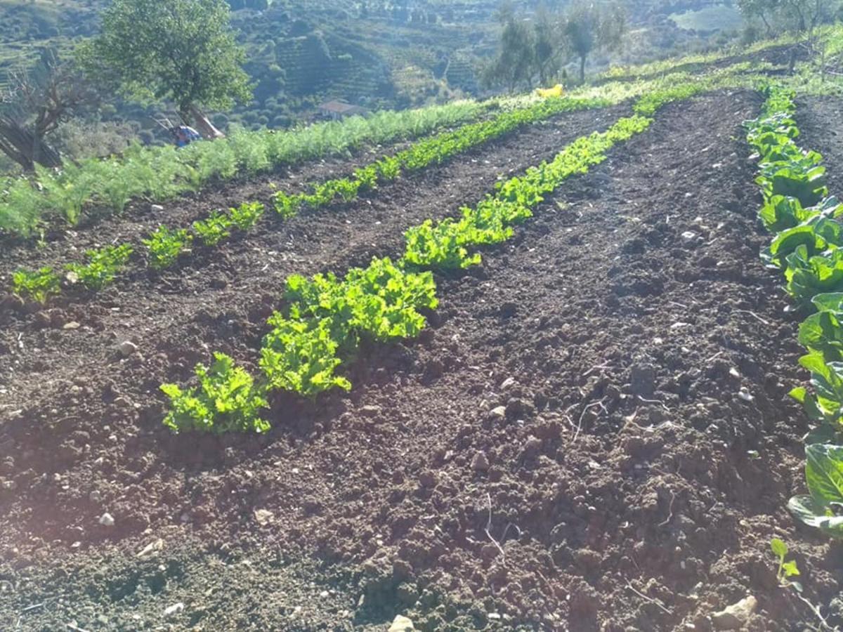 Agriturismo Le Campanelle - Sicilia - Cefalu Villa Lascari Eksteriør bilde